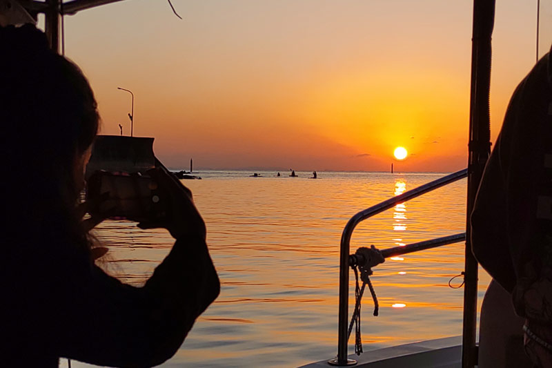 船上からの景色